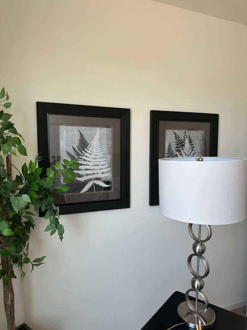 Space 97 photos and lamp