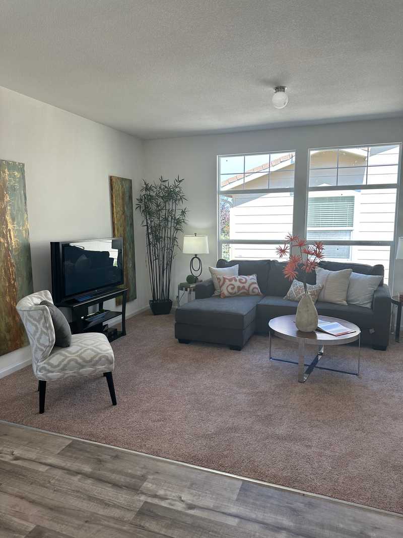 Space 97 living room