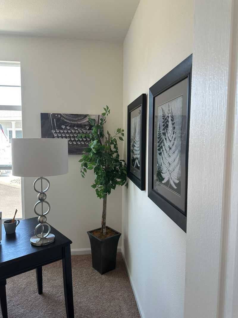 Space 97 office with corner plant
